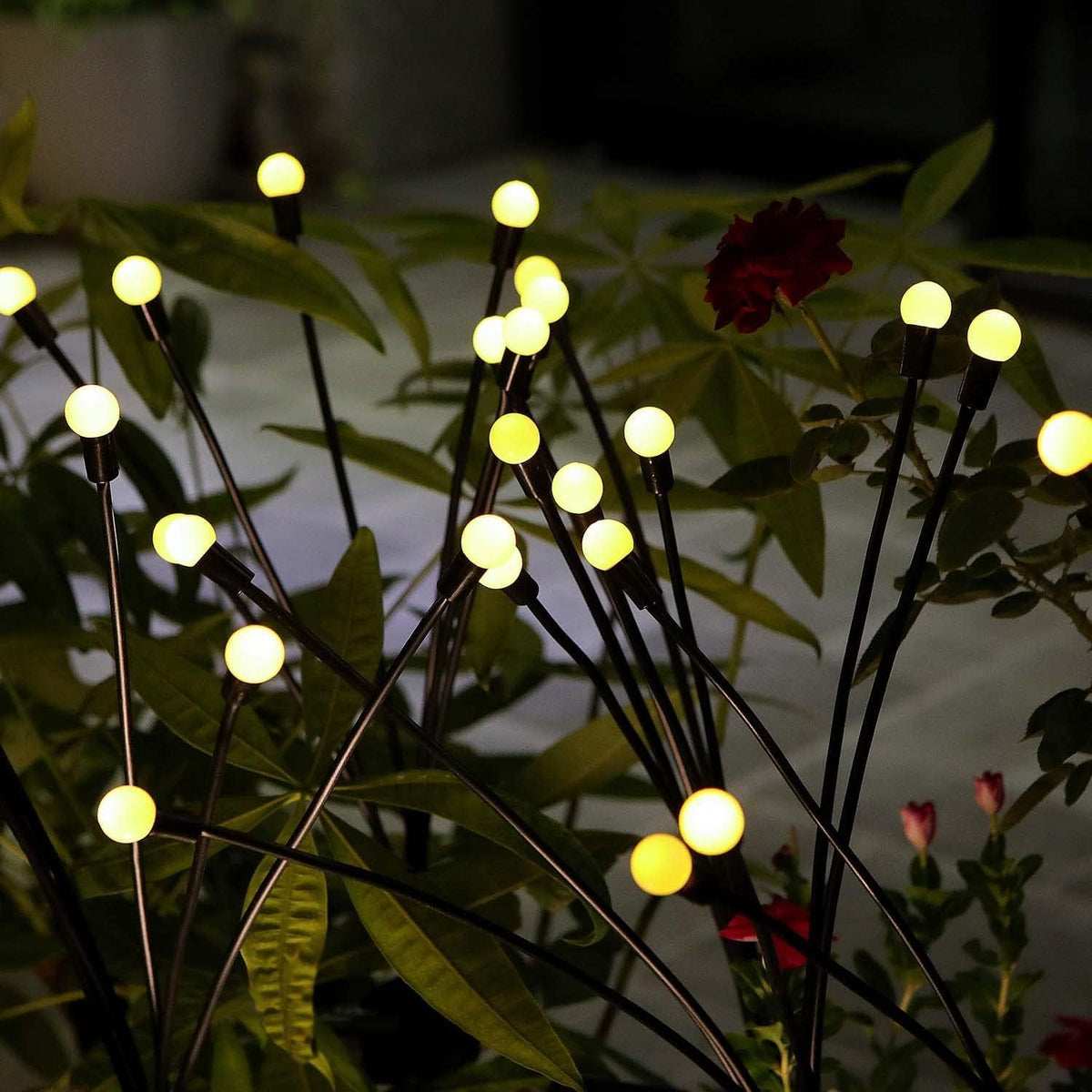 Solar Firefly Lights.
